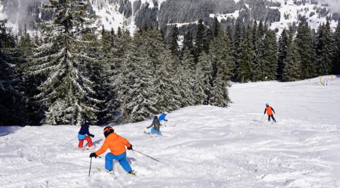 familie skigebieden