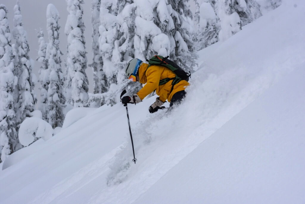 powder turns catski fernie