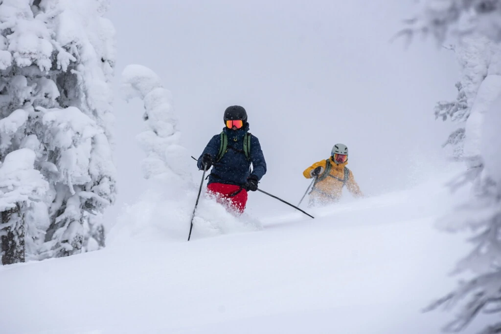 powder in fernie