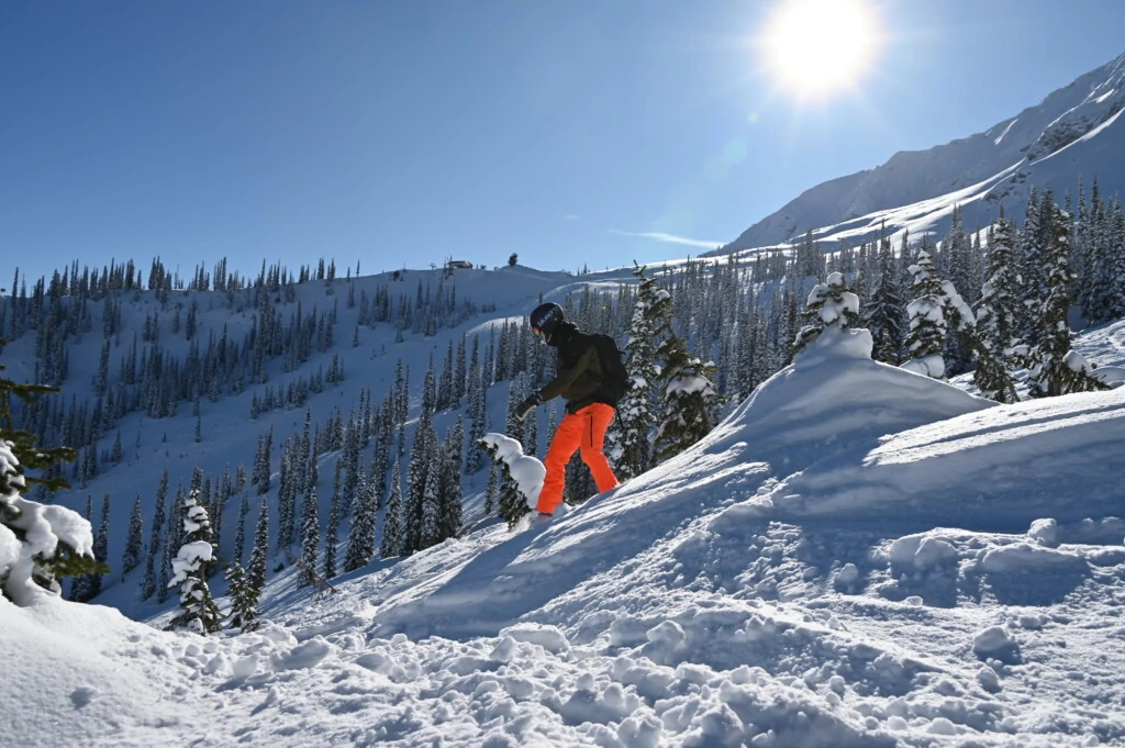 cedar bowl fernie